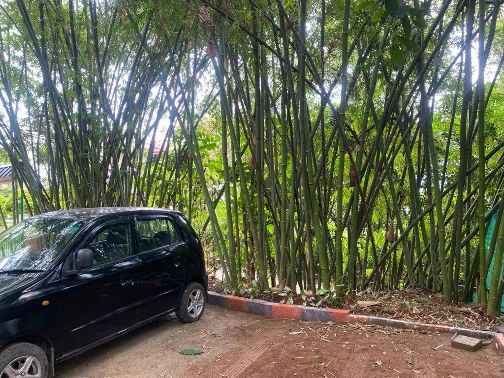 Trekking Trails Eco Stay Kalpetta Exterior photo